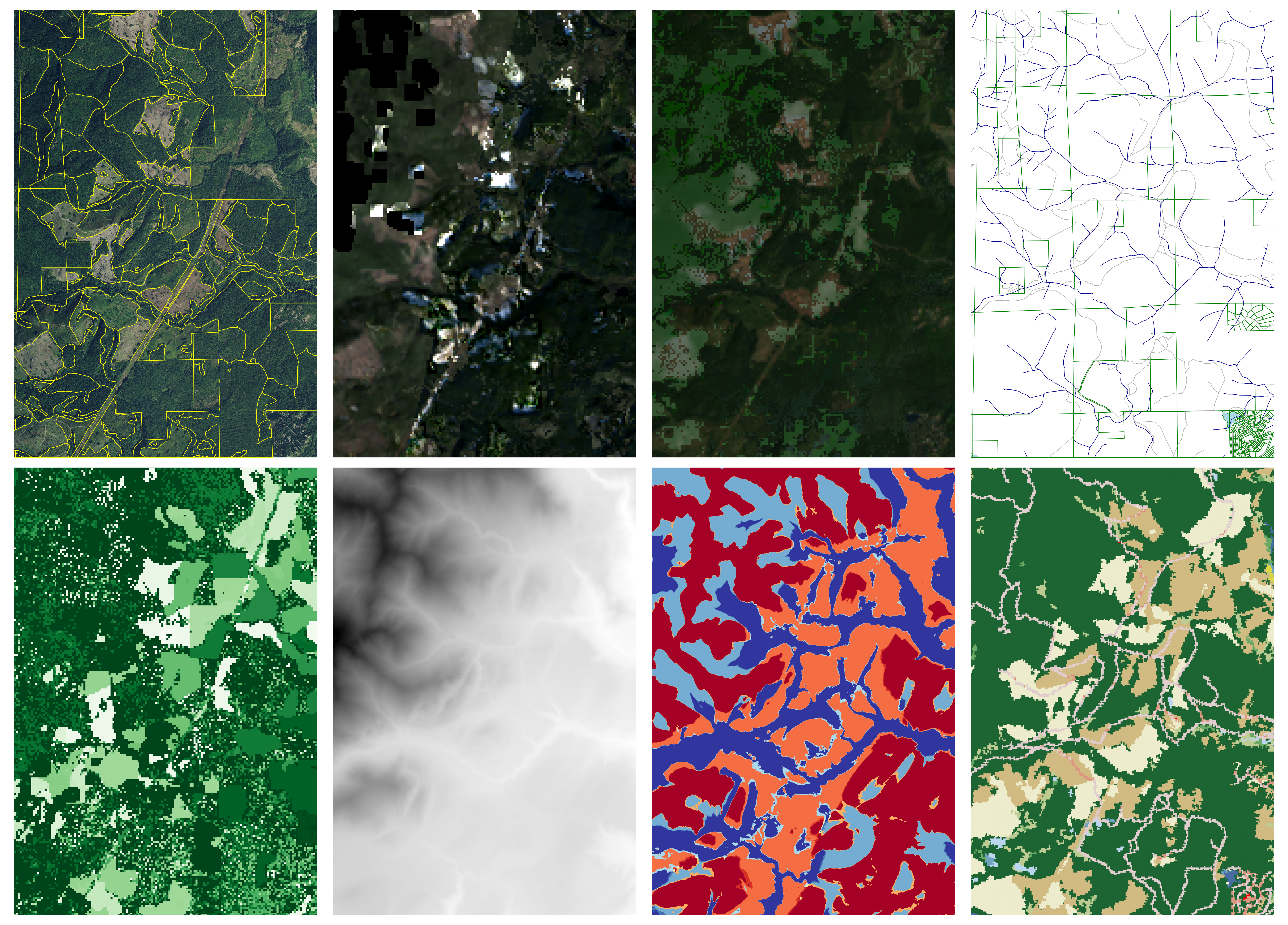 Examples of data layers used for training forest models.