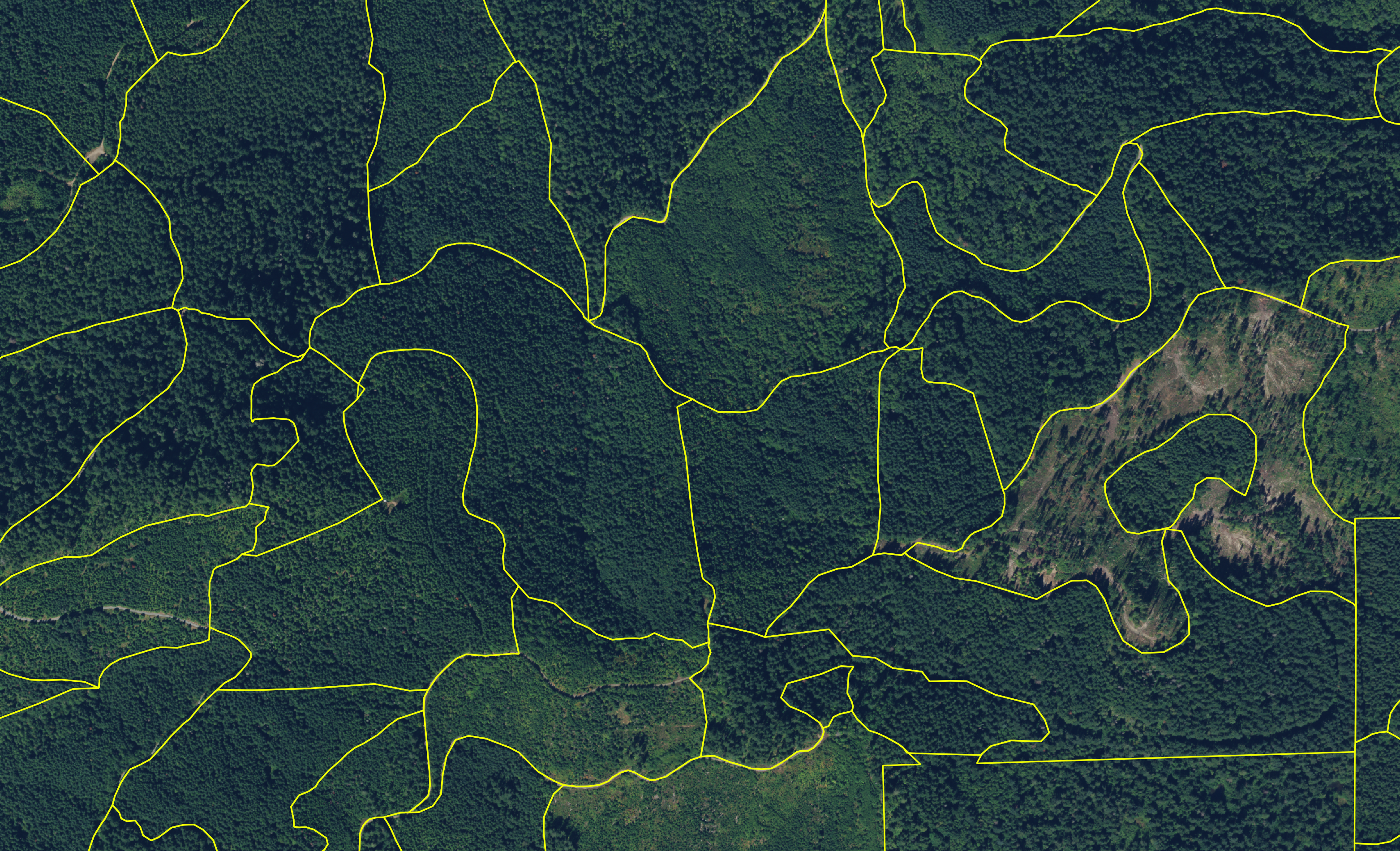 Forest stand boundaries overlaid on an aerial image.